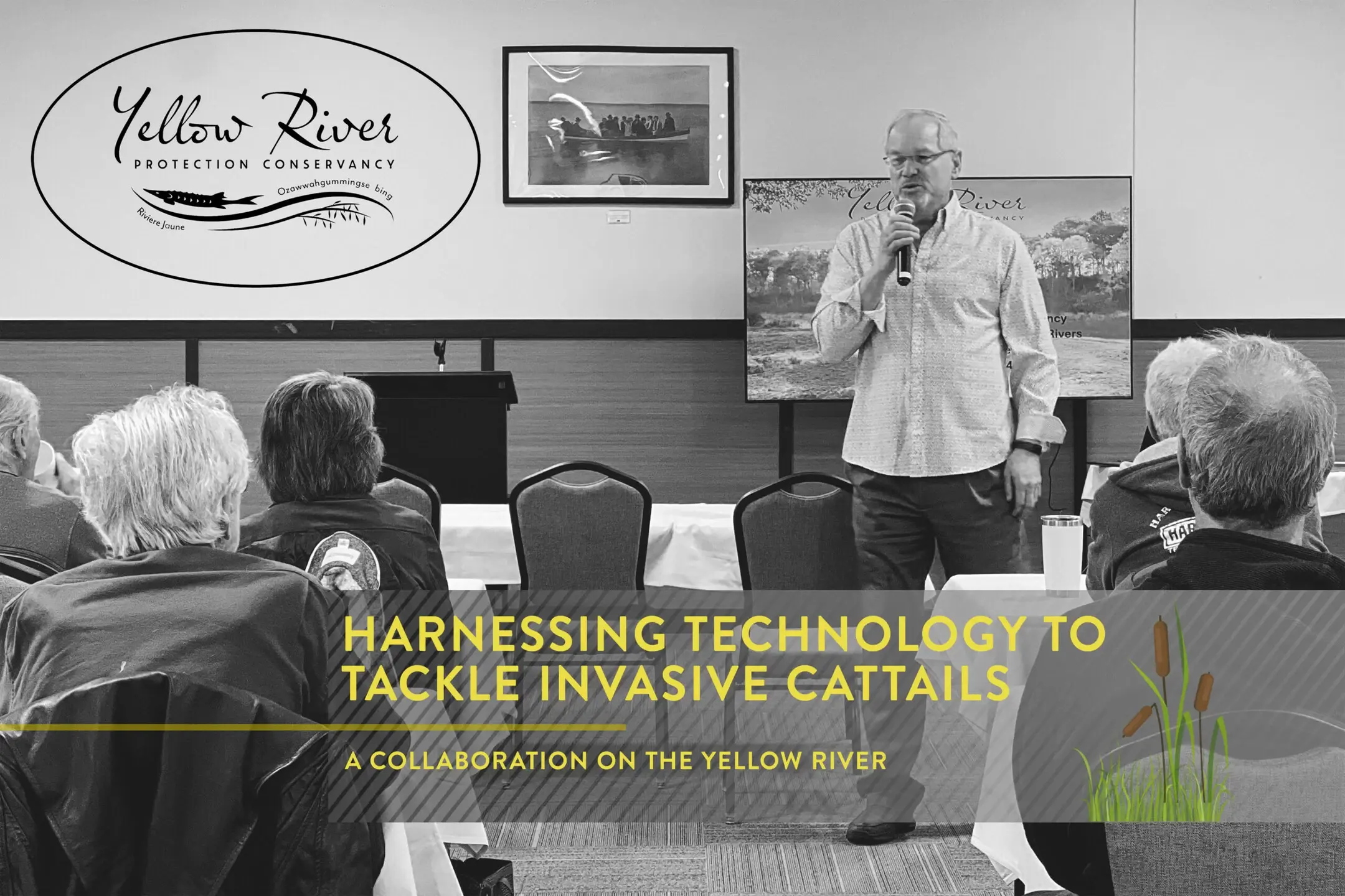 Harnessing Technology to Tackle Invasive Cattails
